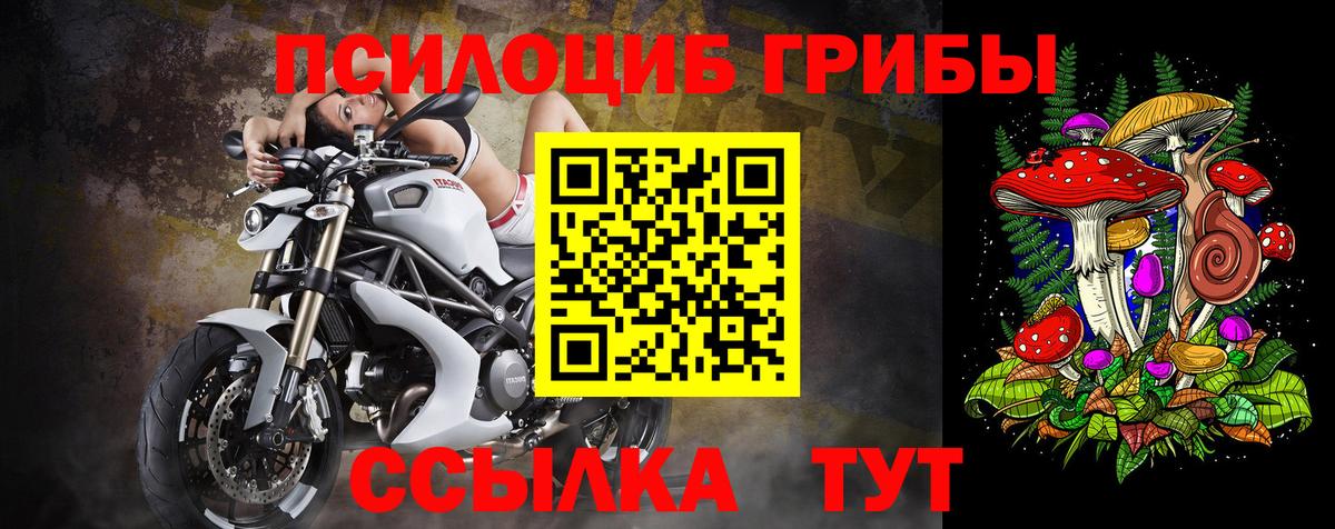 Псилоцибиновые грибы мухоморы  Галлюциногенные грибы мицелий  Вход с VPN  купить наркотики цена  Вичуга 