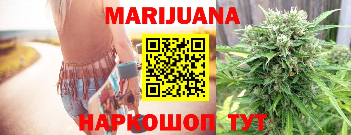 Каннабис планчик Вичуга